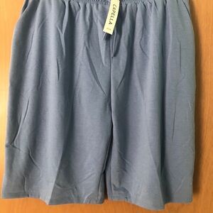 Capella Women's Sporty Blue Shorts